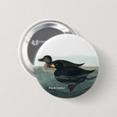 Schwarzer Schotter, Audubon, Seehühner, Vogelbeoba Button (Vorne & Hinten)