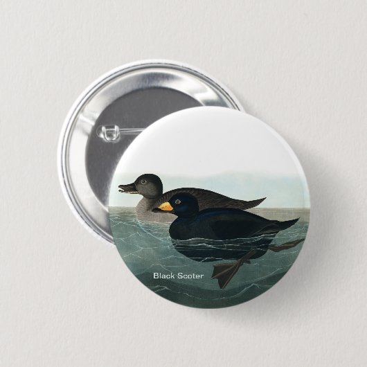 Schwarzer Schotter, Audubon, Seehühner, Vogelbeoba Button (Vorne & Hinten)