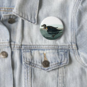 Schwarzer Schotter, Audubon, Seehühner, Vogelbeoba Button (Beispiel)