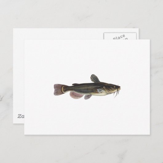 Schwarzer Schotter Postkarte (Vorne/Hinten)