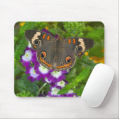 Schwarzer Schwalbenschwanz Mousepad (Mit Mouse)