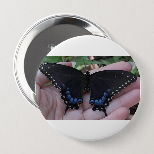 Schwarzer Schwalbenschwanz Schmetterling #1 Button (Vorne & Hinten)