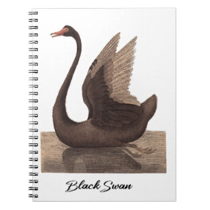 Schwarzer Schwan 1792 Notizblock