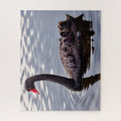 Schwarzer Schwan Australien Puzzle (Vertikal)