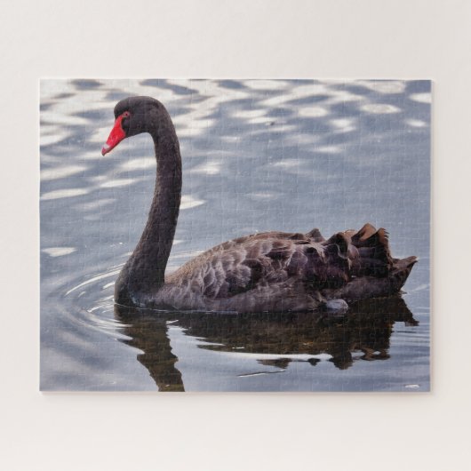 Schwarzer Schwan Australien Puzzle (Horizontal)