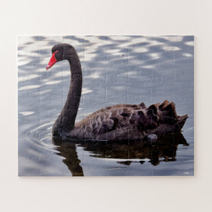 Schwarzer Schwan Australien Puzzle