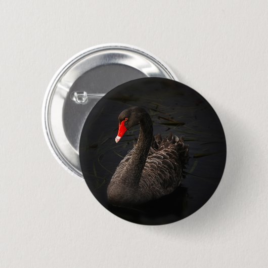 Schwarzer Schwan Button (Vorne & Hinten)