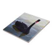 Schwarzer Schwan, der am Fluss schwimmt, Fliese (Seite)