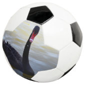 Schwarzer Schwan, der am Fluss schwimmt, Fußball (Dreiviertel)