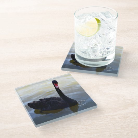 Schwarzer Schwan, der am Fluss schwimmt, Glasuntersetzer (Schrägansicht)