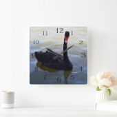Schwarzer Schwan, der am Fluss schwimmt, Quadratische Wanduhr (Zuhause)