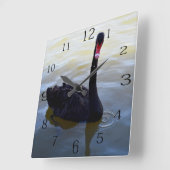 Schwarzer Schwan, der am Fluss schwimmt, Quadratische Wanduhr (Winkel)