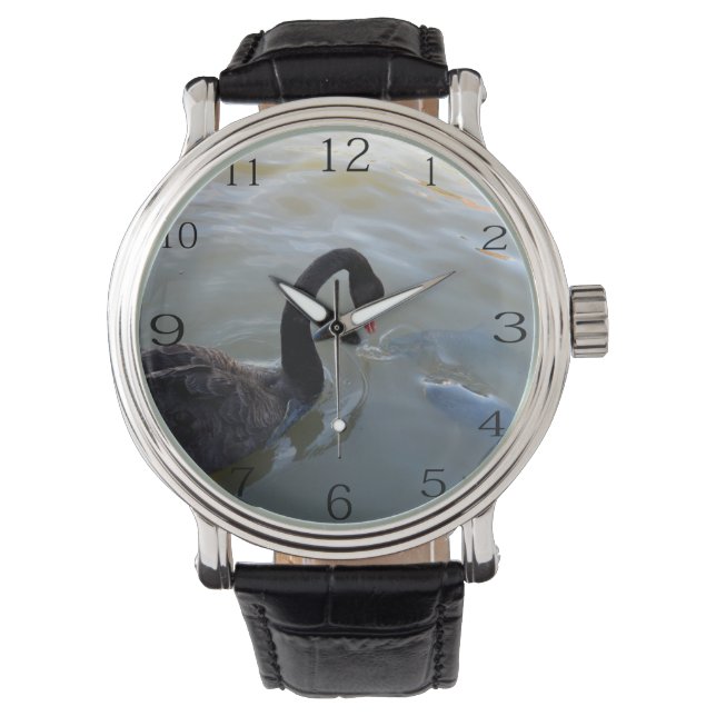 Schwarzer Schwan, der im Fluss Riesenfische beobac Armbanduhr (Vorderseite)