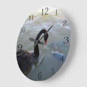 Schwarzer Schwan, der im Fluss Riesenfische beobac Große Wanduhr (Winkel)