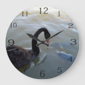 Schwarzer Schwan, der im Fluss Riesenfische beobac Große Wanduhr (Vorderseite)