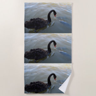 Schwarzer Schwan, der im Fluss Riesenfische beobac Strandtuch