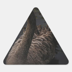 Schwarzer Schwan Dreieckiger Aufkleber