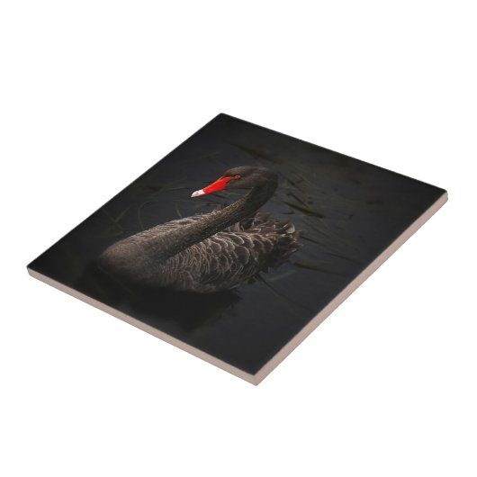 Schwarzer Schwan Fliese (Seite)