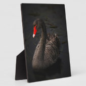 Schwarzer Schwan Fotoplatte (Seite)
