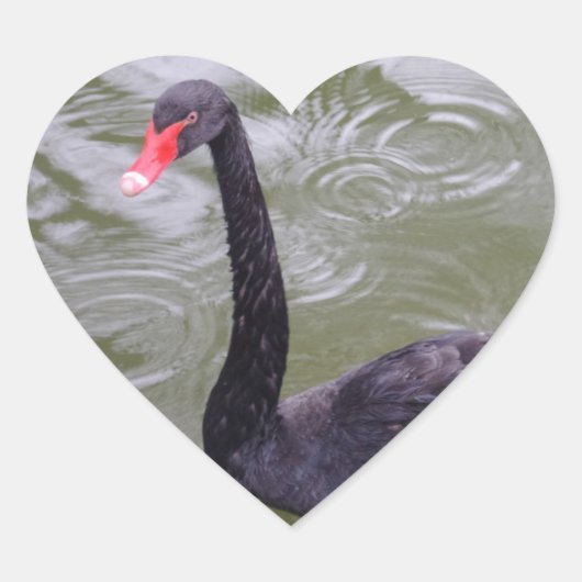Schwarzer Schwan Herzsticker Herz-Aufkleber (Vorderseite)