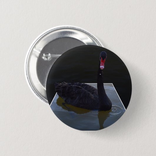 Schwarzer Schwan im Maßteich schwimmen, Button (Vorne & Hinten)