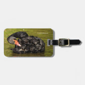 Schwarzer Schwan im Teich Gepäckanhänger (Vorderseite horizontal)