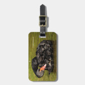 Schwarzer Schwan im Teich Gepäckanhänger (Vorderseite vertikal)