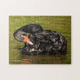 Schwarzer Schwan im Teich Puzzle