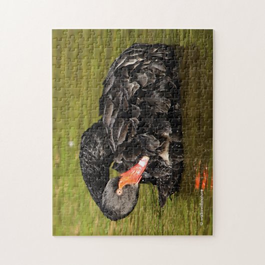 Schwarzer Schwan im Teich Puzzle (Vertikal)