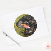 Schwarzer Schwan im Teich Runder Aufkleber (Umschlag)