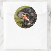 Schwarzer Schwan im Teich Runder Aufkleber (Tasche)