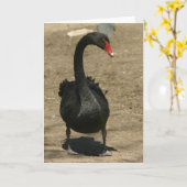 Schwarzer Schwan Karte (Gelbe Blume)