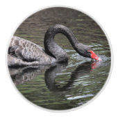 Schwarzer Schwan Keramikknauf (Vorderseite)
