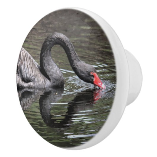 Schwarzer Schwan Keramikknauf (Rechts)