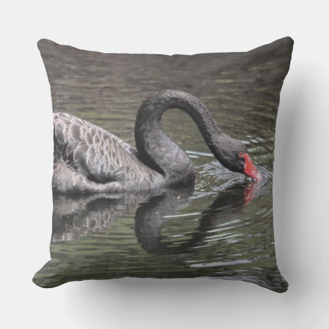 Schwarzer Schwan Kissen (Vorderseite)