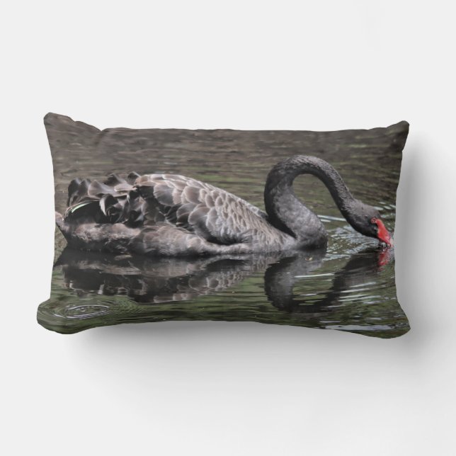 Schwarzer Schwan Lendenkissen (Vorderseite)