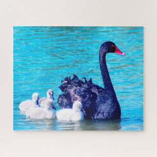 Schwarzer Schwan mit ihren Babys, Jigsaw Puzzle