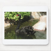 Schwarzer Schwan Mousepad (Vorne)