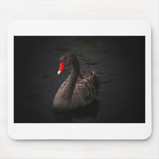 Schwarzer Schwan Mousepad (Vorne)