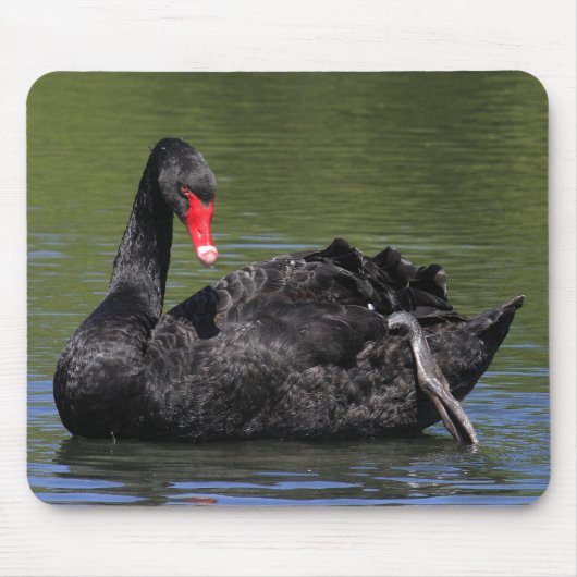 Schwarzer Schwan Mousepad (Vorne)