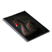 Schwarzer Schwan Notizblock (Rechte Seite)