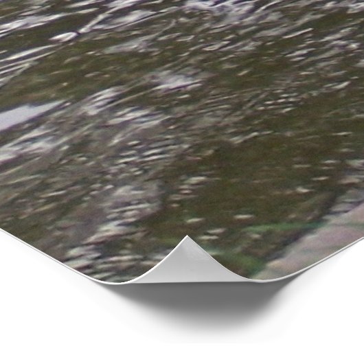 Schwarzer Schwan Poster (Ecke)