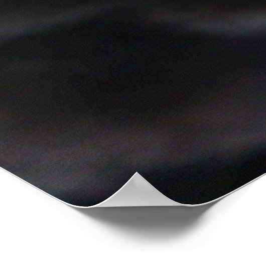 Schwarzer Schwan Poster (Ecke)