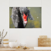 Schwarzer Schwan Poster (Küche)