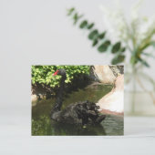 Schwarzer Schwan Postkarte (Stehend Vorderseite)
