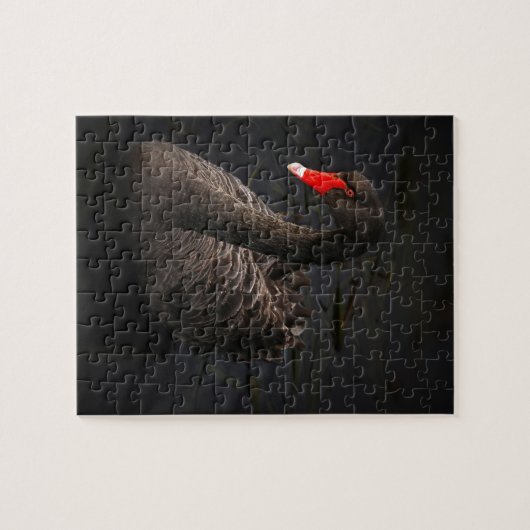 Schwarzer Schwan Puzzle (Horizontal)
