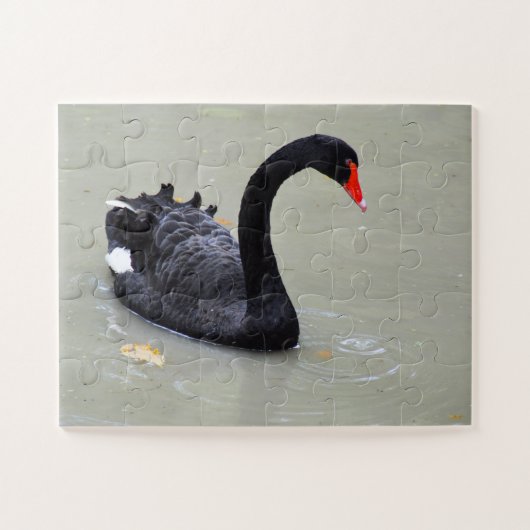 Schwarzer Schwan Puzzle (Horizontal)