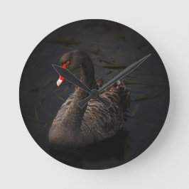 Schwarzer Schwan Runde Wanduhr