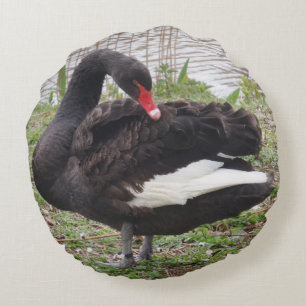 Schwarzer Schwan Rundkissen Rundes Kissen