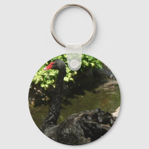 Schwarzer Schwan Schlüsselanhänger